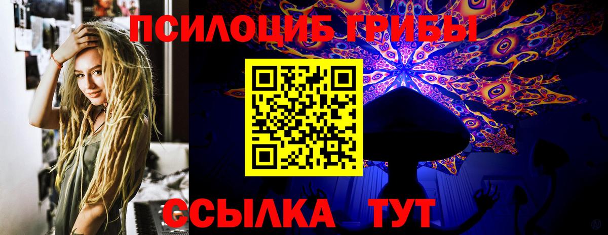 Галлюциногенные грибы Вольск