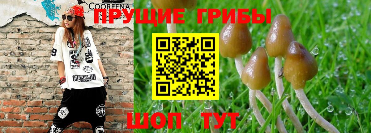 Галлюциногенные грибы прущие грибы Вольск