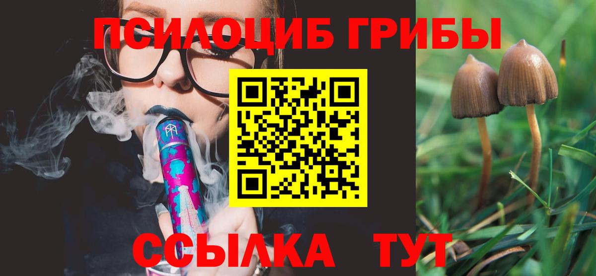 Псилоцибиновые грибы Psilocybe  Вход с VPN  Вольск 